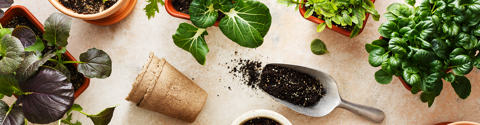 silde-guide-jardinaromatique2.png