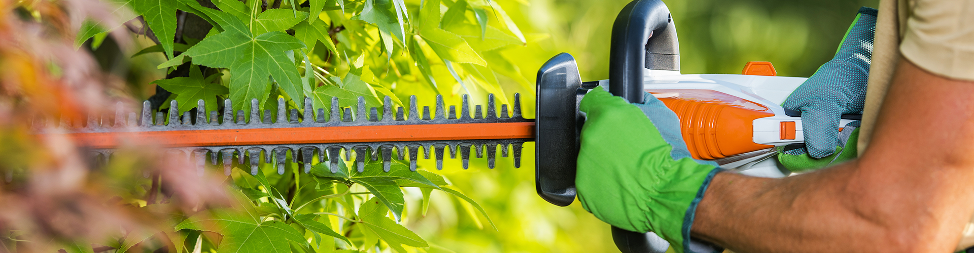 Protection de lame pour taille-haie PROGREEN - 046417