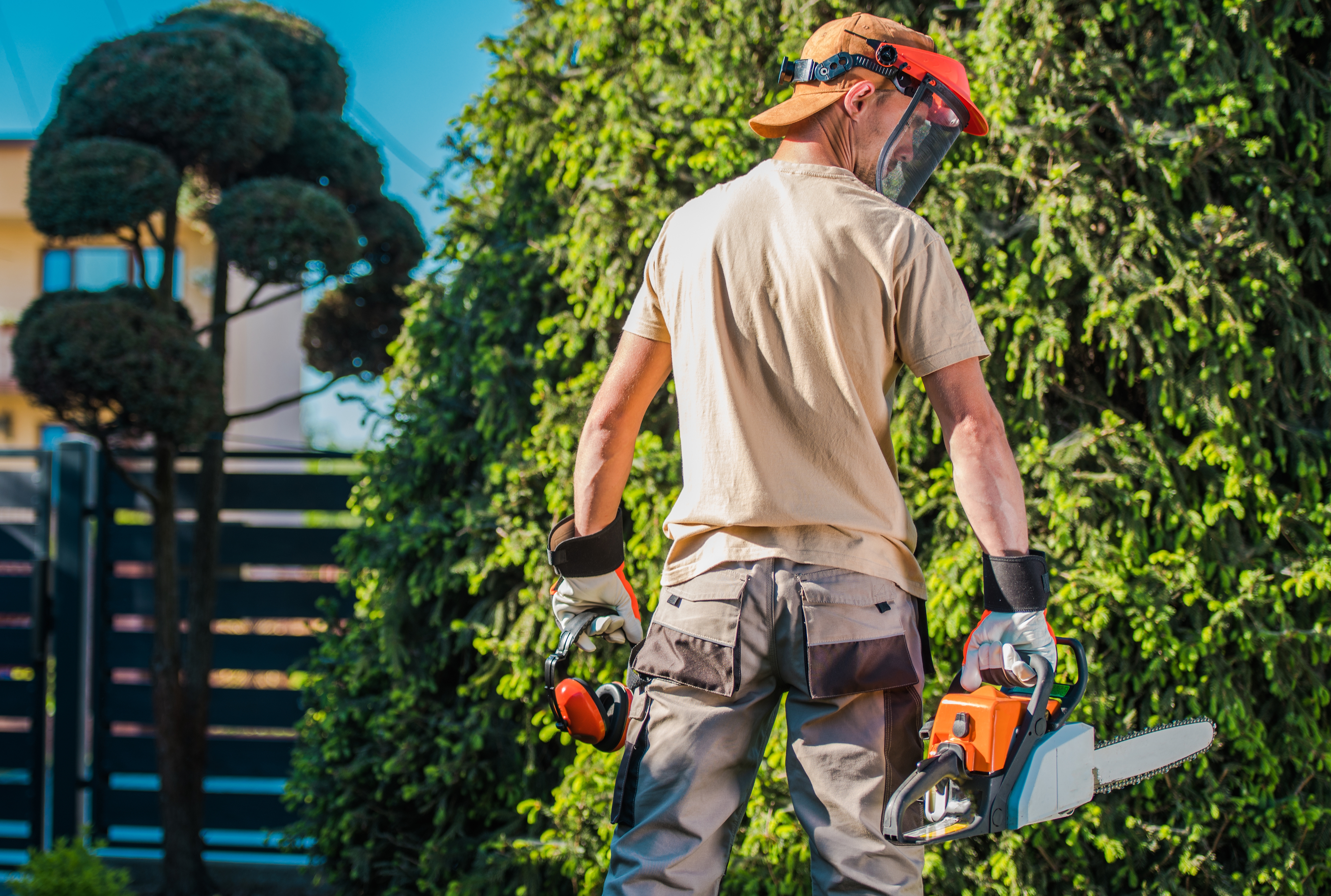 men-in-the-garden-2022-12-16-11-48-55-utc.jpg